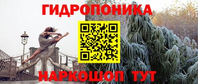 a pvp Донской