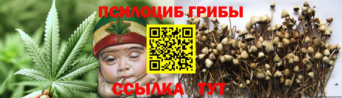 дарнет шоп  Галлюциногенные грибы Cubensis  Вход с VPN  Бирск 